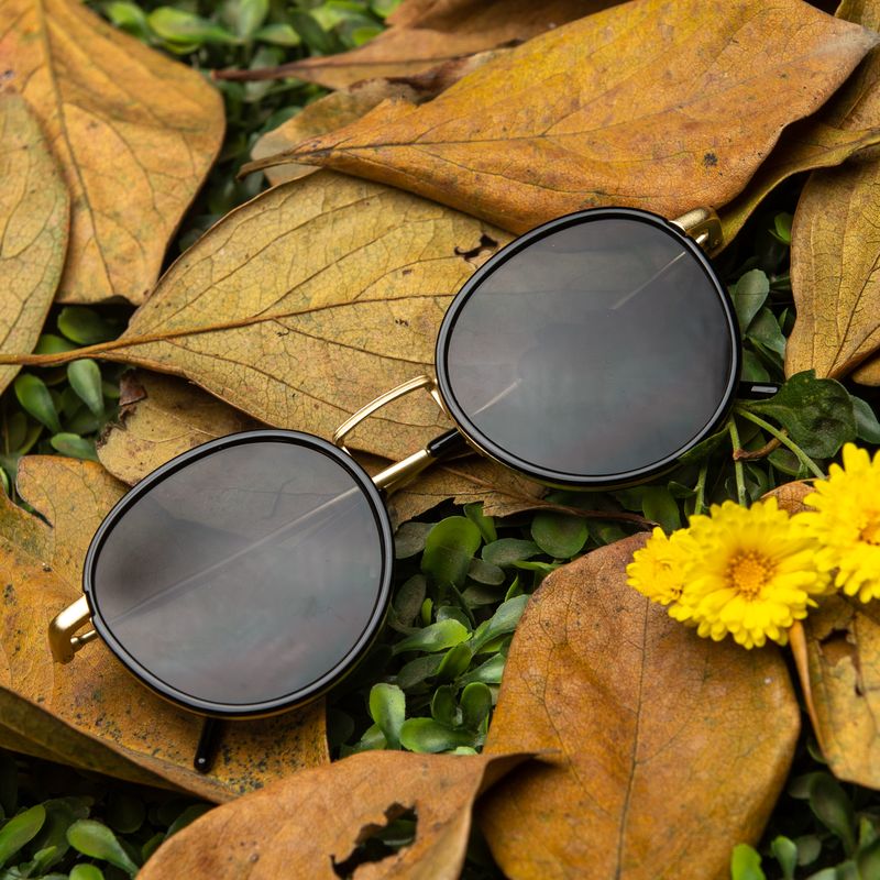 Lunettes de Soleil Tendance