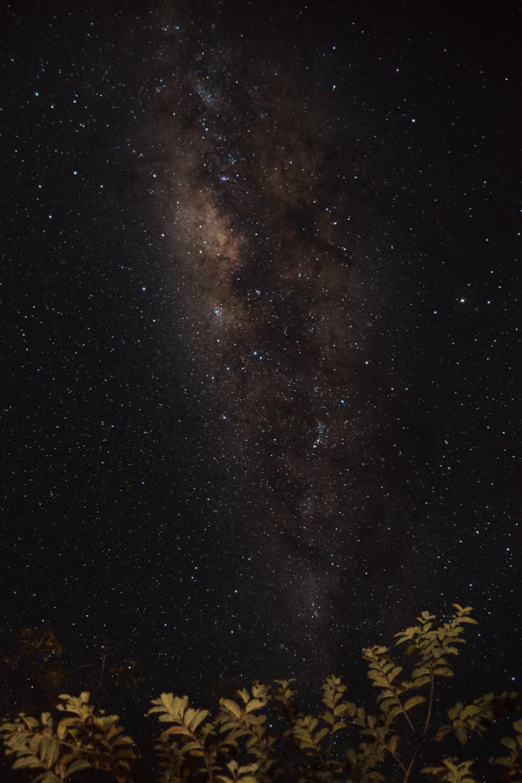 Starry Night Sky 