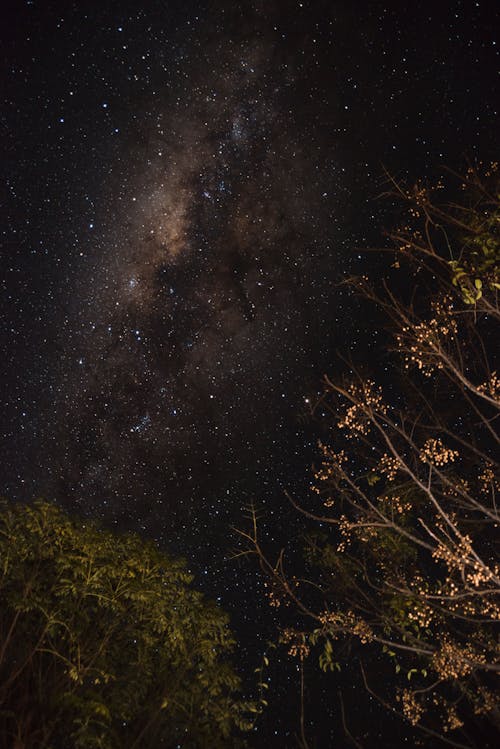Free คลังภาพถ่ายฟรี ของ astrophotography, กลางคืน, กลางแจ้ง Stock Photo
