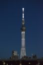 Tower at Night Time