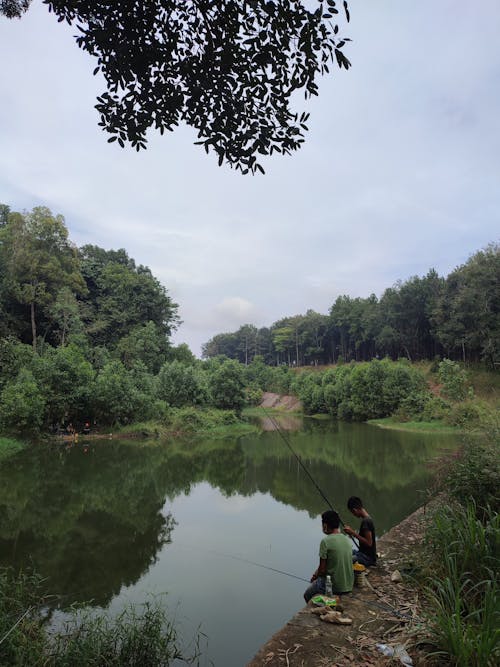 Foto d'estoc gratuïta de arbres, canya de pescar, homes