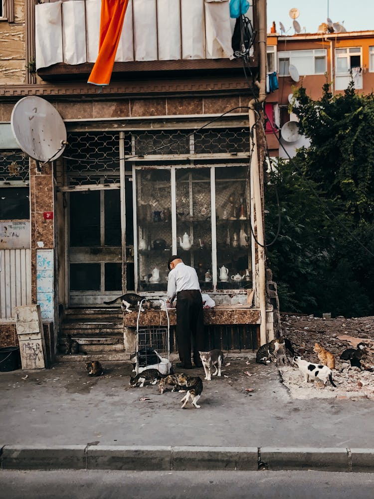 A Man With Cats In Front Of A Building