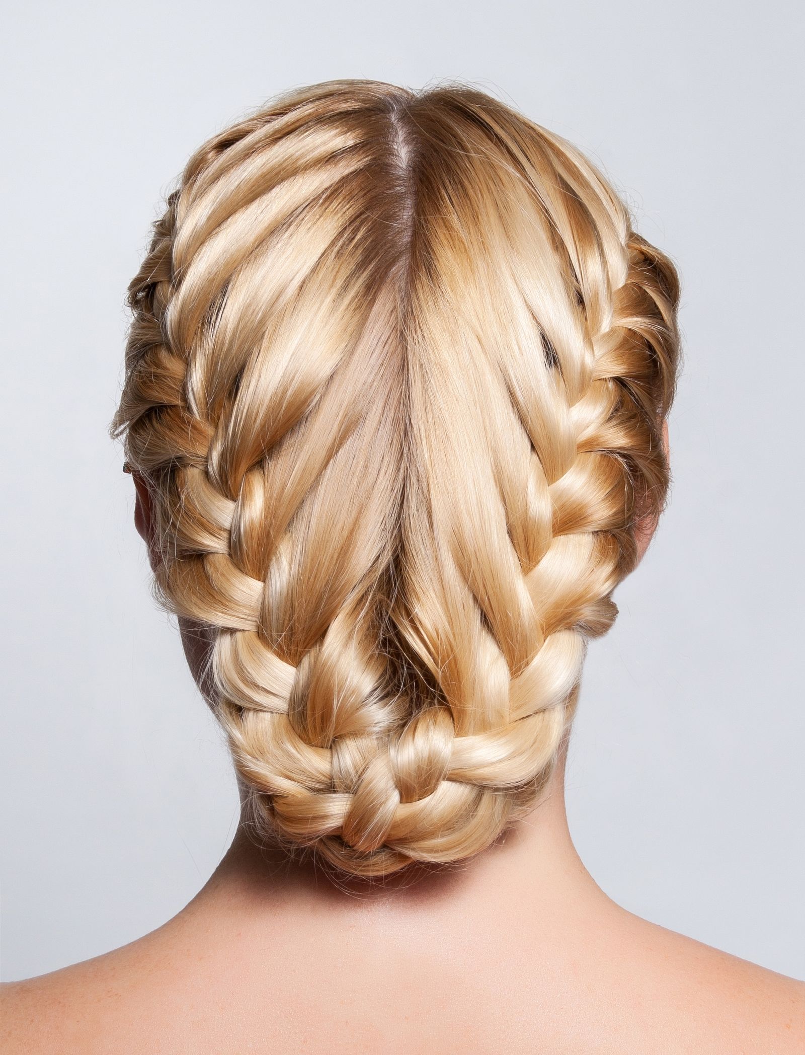 Braided updo hairstyle