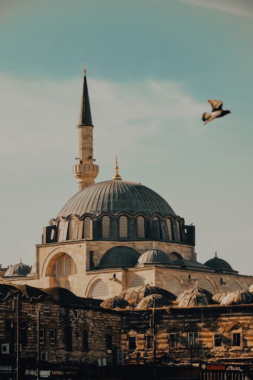 Gratis lagerfoto af Istanbul, kalkun, kupler