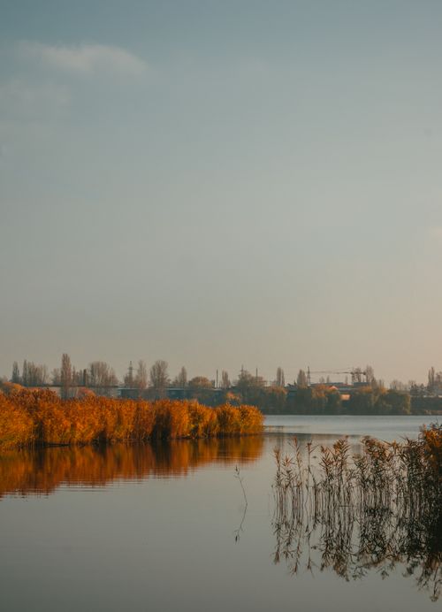 Free Peaceful riverside scene in autumn with golden trees and clear blue sky. Stock Photo
