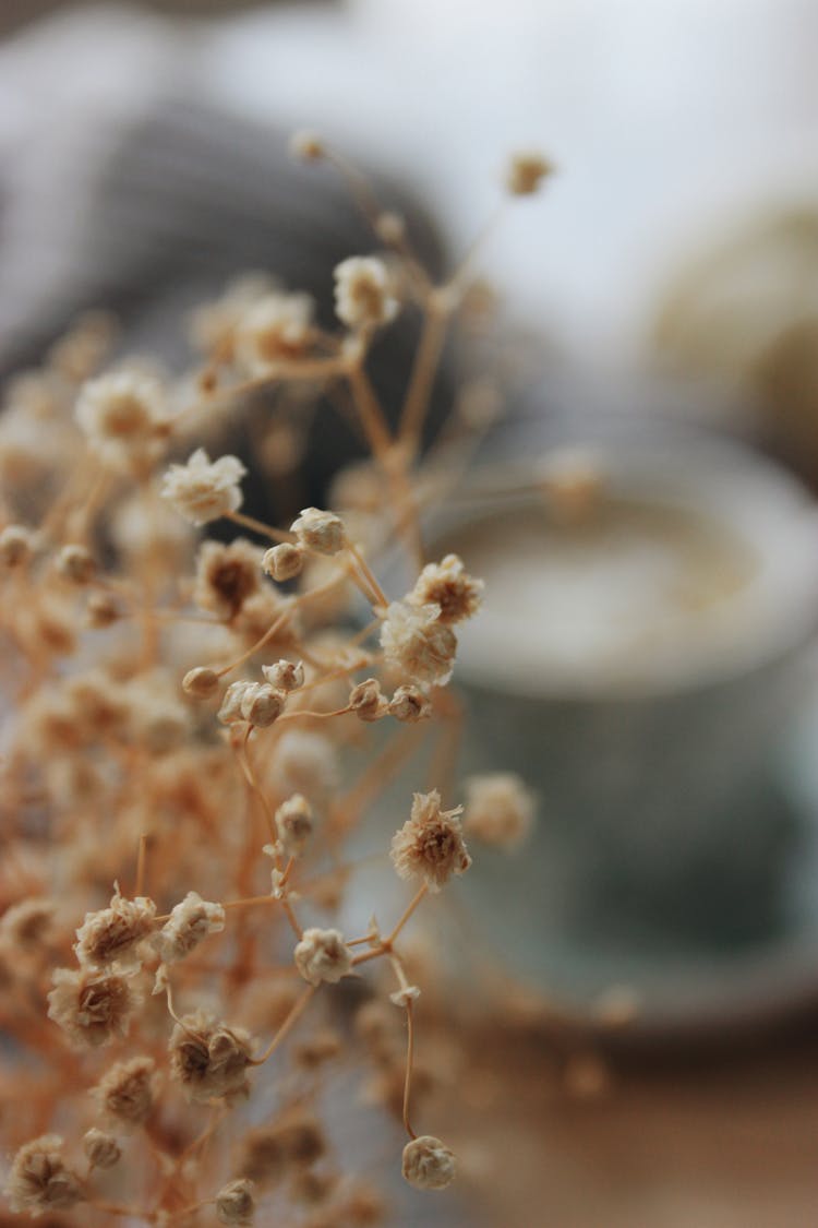 Flowers On Thin Plant