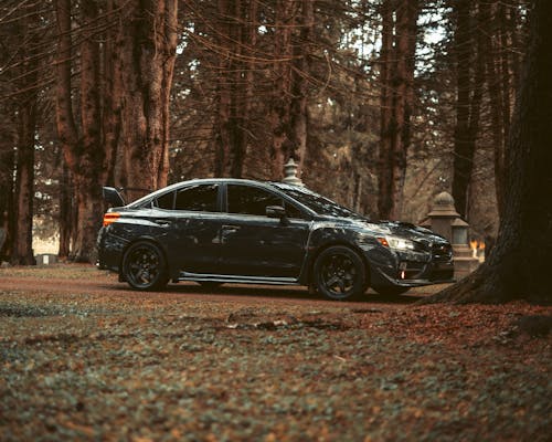 Black Sedan on Forest