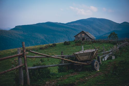 Wooden Barn on the Middle of Grassland