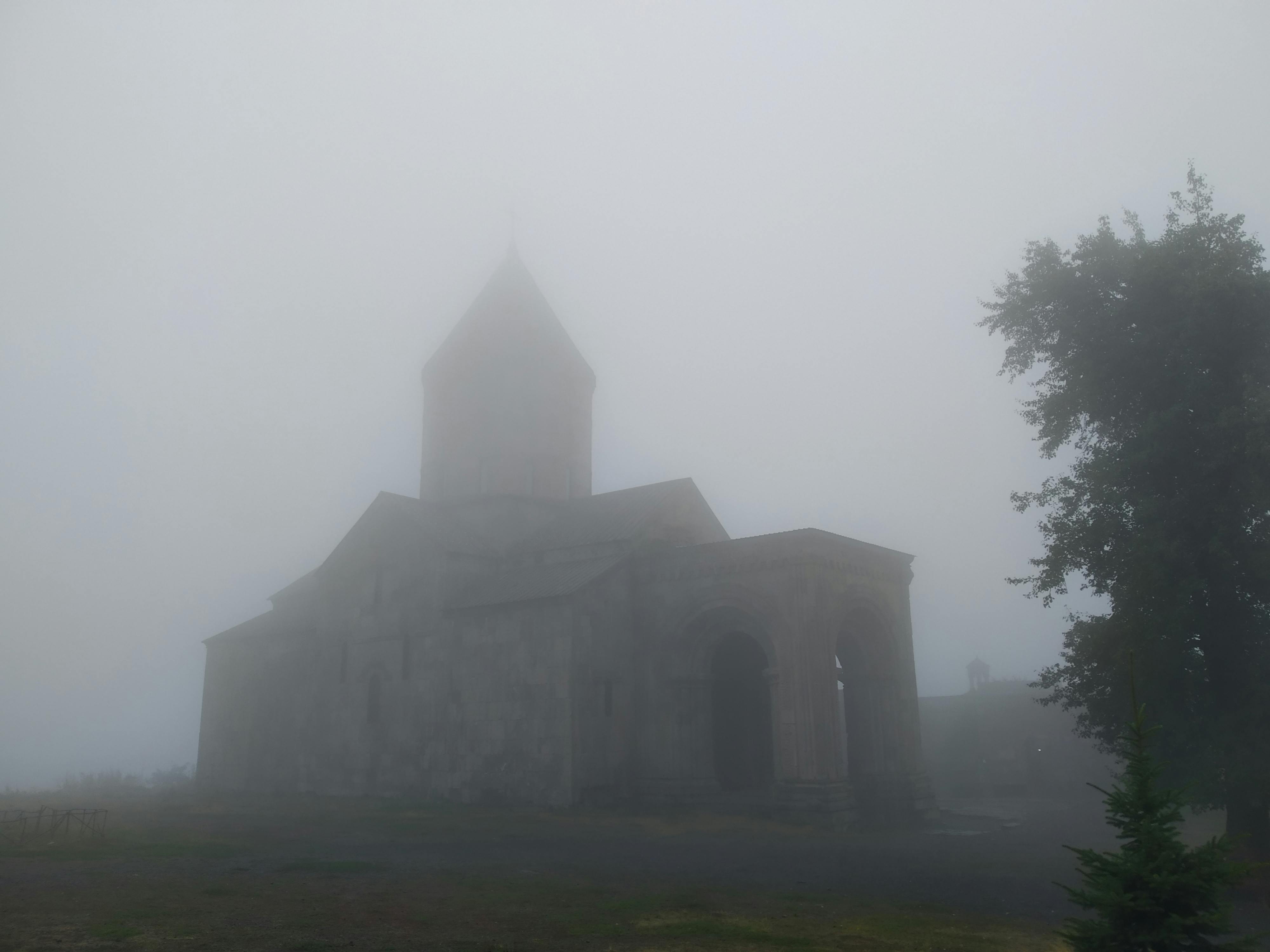 pexels-photo-10241376.jpeg?auto=compress&cs=tinysrgb&dpr=1&w=500