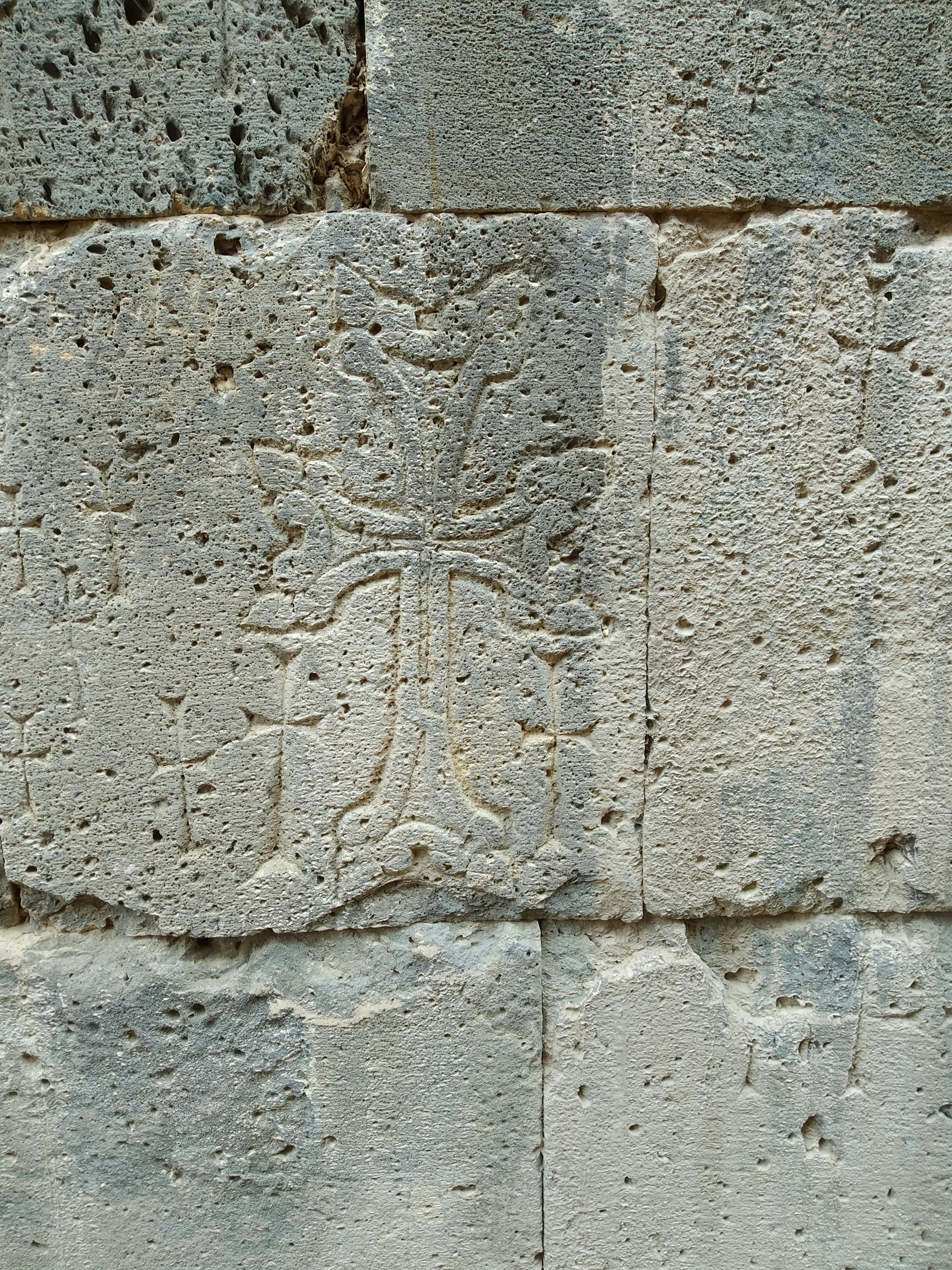 pexels-photo-10241396.jpeg?auto=compress&cs=tinysrgb&dpr=1&w=500