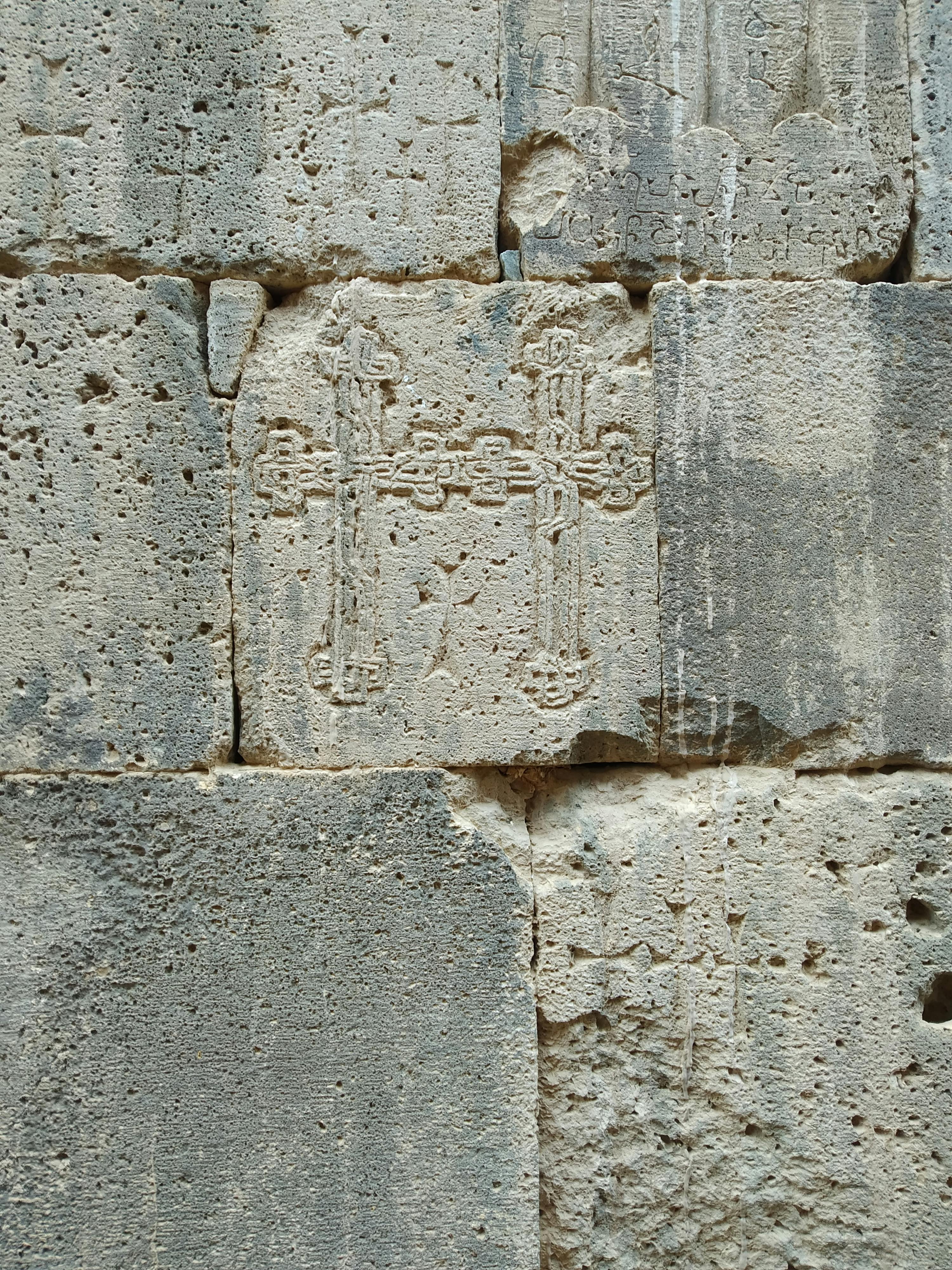 pexels-photo-10241397.jpeg?auto=compress&cs=tinysrgb&dpr=1&w=500