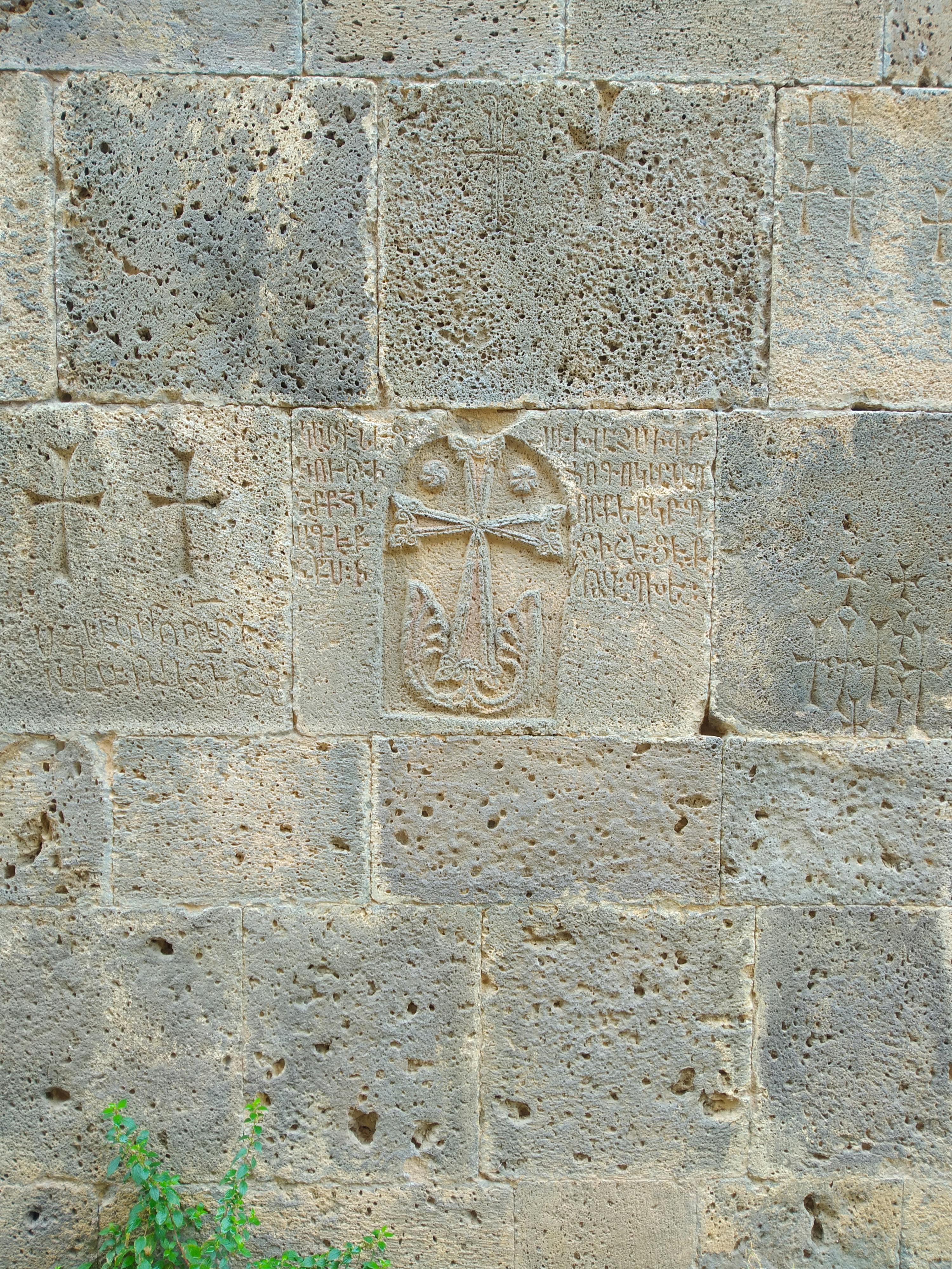 pexels-photo-10241418.jpeg?auto=compress&cs=tinysrgb&dpr=1&w=500