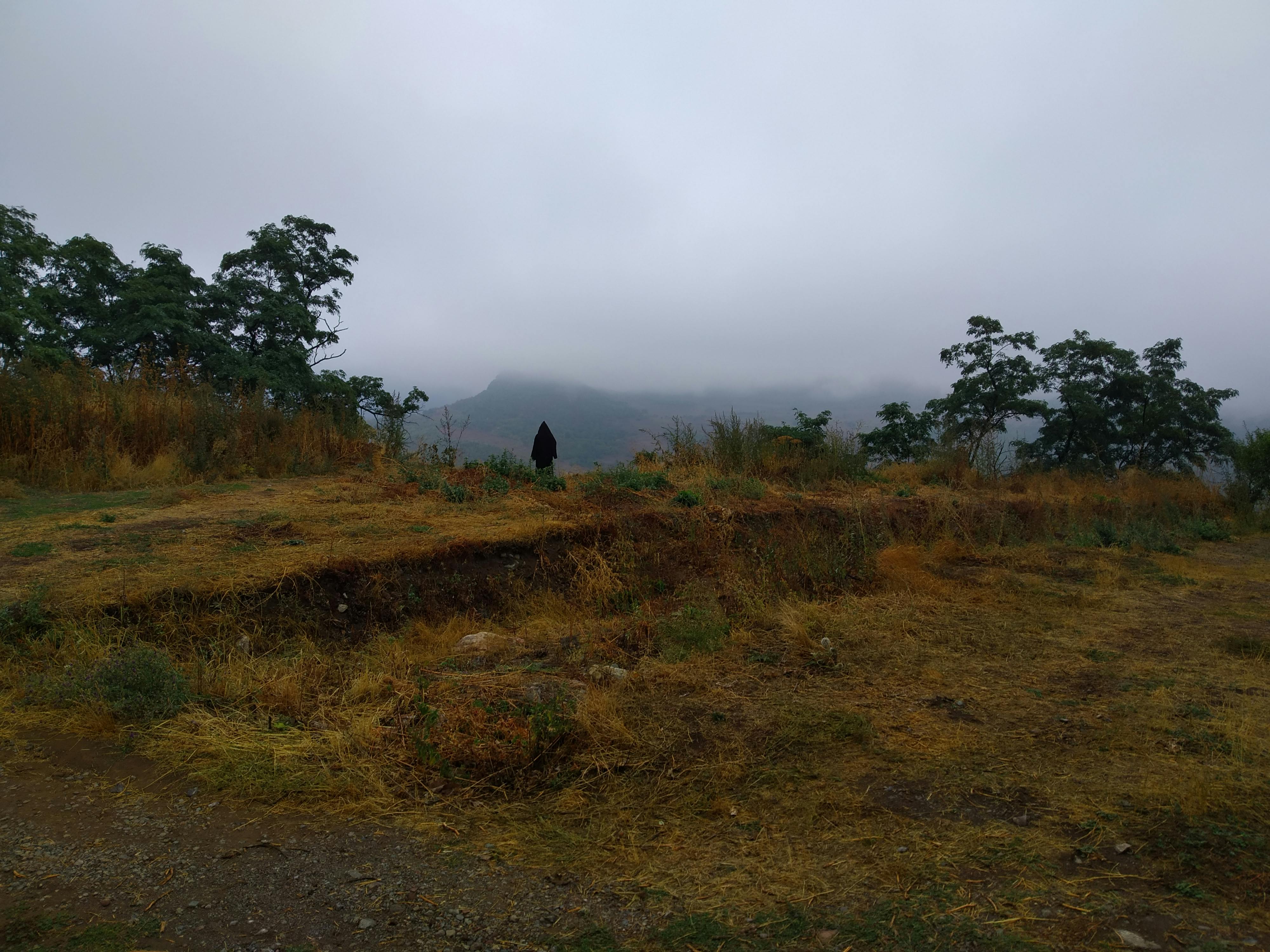 pexels-photo-10241543.jpeg?auto=compress&cs=tinysrgb&dpr=1&w=500