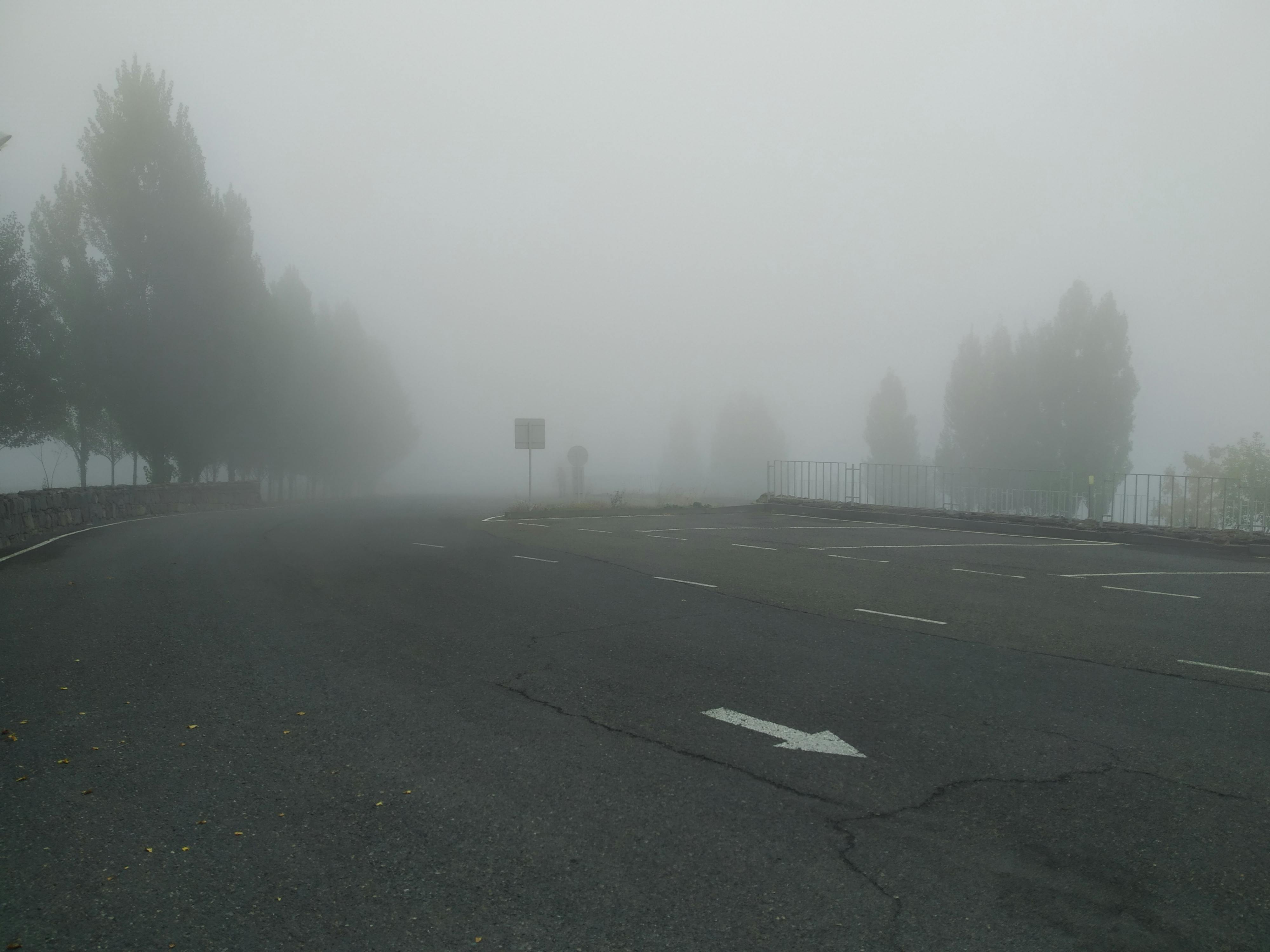 pexels-photo-10241606.jpeg?auto=compress&cs=tinysrgb&dpr=2&h=750&w=1260