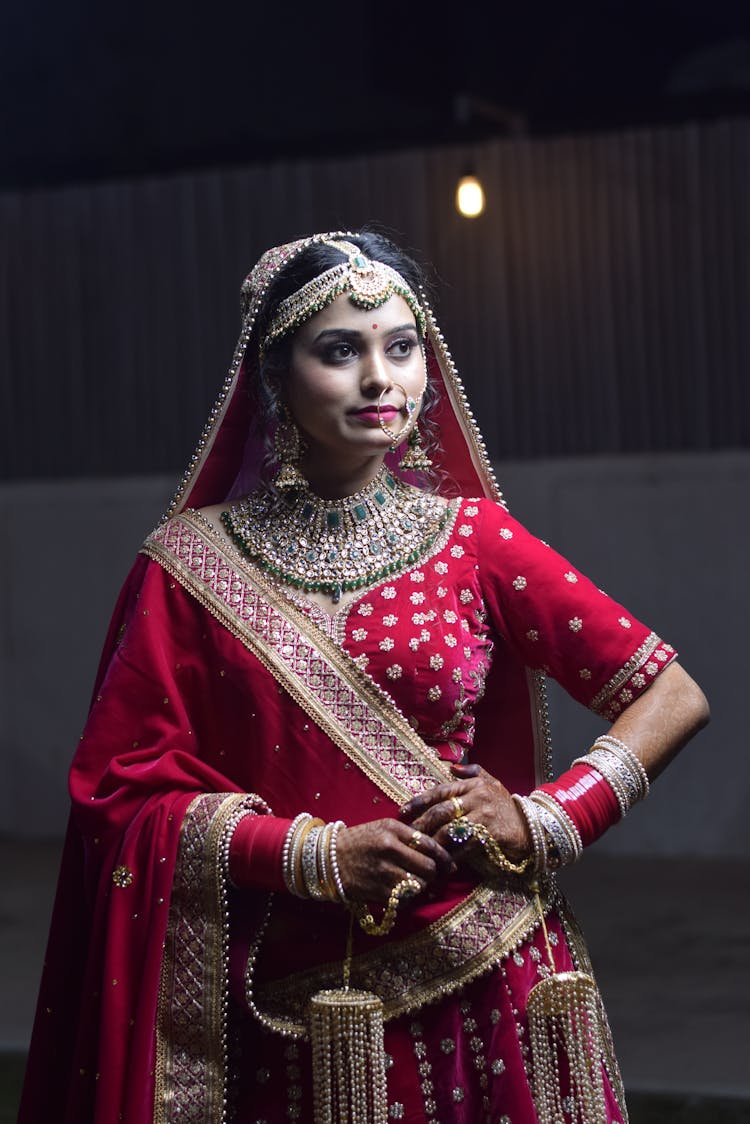 Pretty Woman In Red And Gold Saree Dress