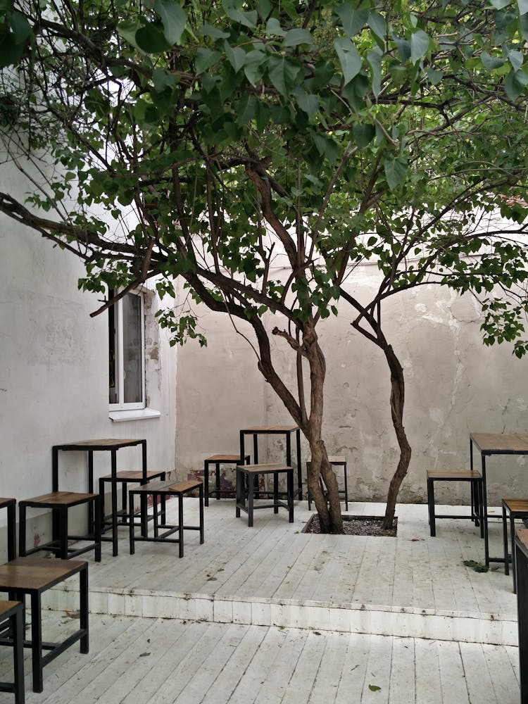 Minimalist Furniture At Restaurant Patio