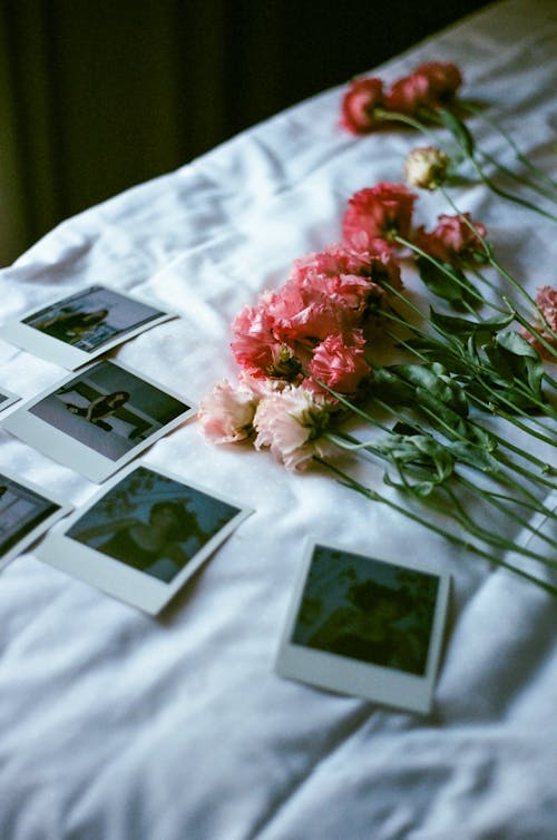 Free Delicate Flowers Placed Near Memories of Instant Photographs Stock Photo