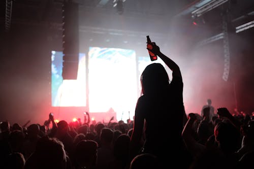 Silhouette of People Attending a Concert