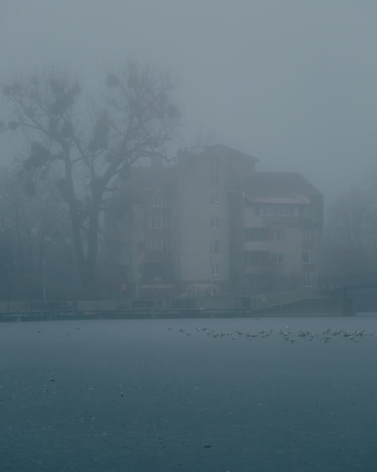 Frozen River In Fog