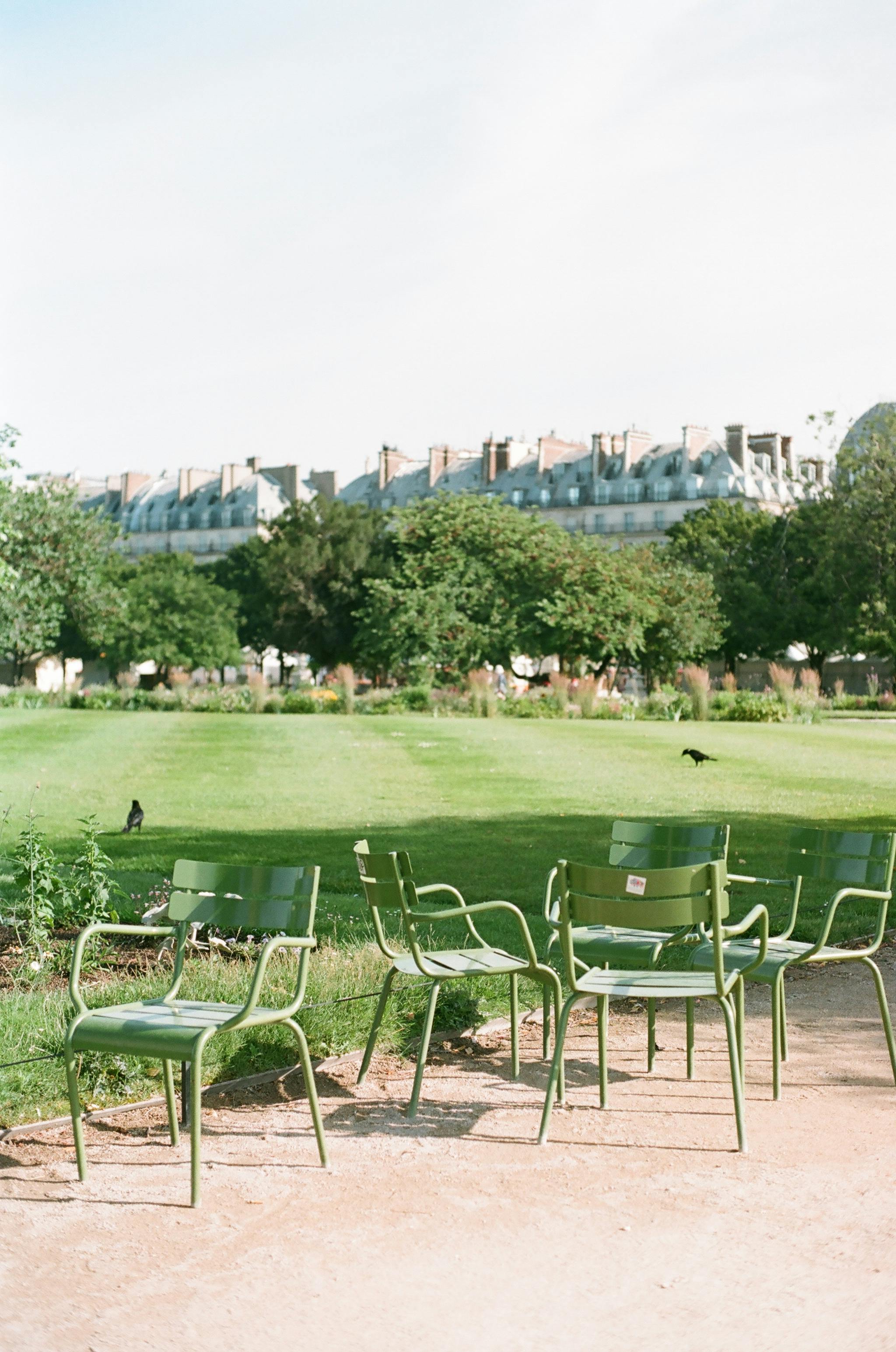 Empty green metal chairs in a tranquil park setting, surrounded by lush trees.