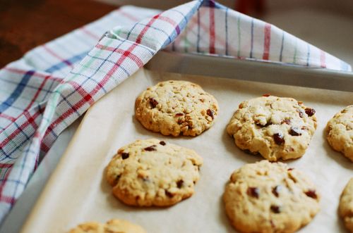 Free Close-up of freshly baked oatmeal raisin cookies cooling on a baking tray with a plaid towel. Stock Photo