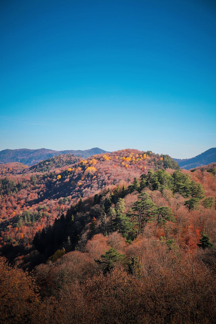 Clear Sky Over Hills