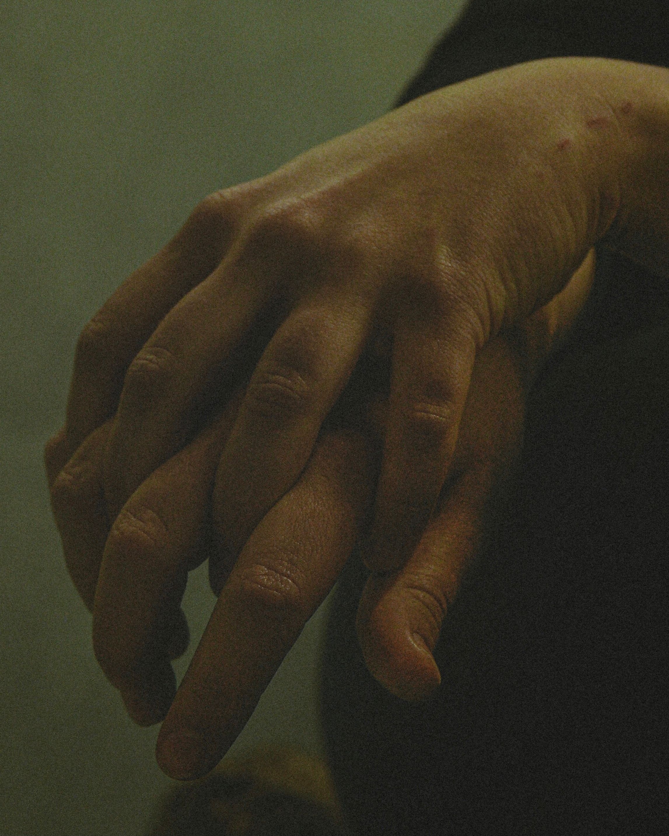 Close-up Shot of Person's Hand · Free Stock Photo