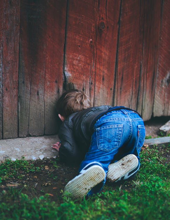 Free Photo of Boy Peeking on Brown Wooden Fence Stock Photo