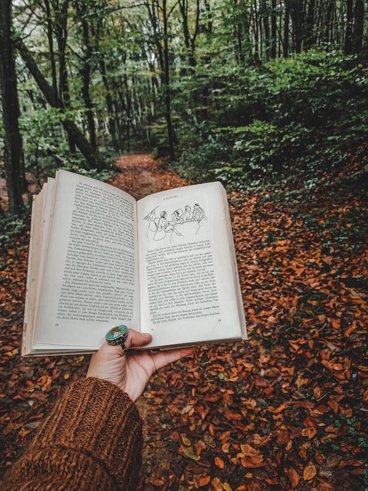 A Person Holding A Book