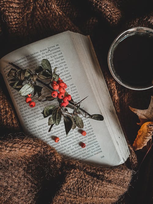 Stem of a Plant with Green Leaves and Round Fruits on Top of an Open Book Beside a Cup of Coffee