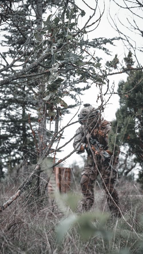 Free Military soldier in camouflage uniform holding a firearm, blending into dense forest during daytime. Stock Photo