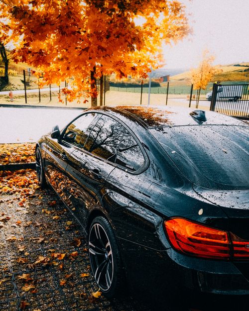 Free Black car parked on a wet street under vibrant orange autumn foliage after rain. Stock Photo
