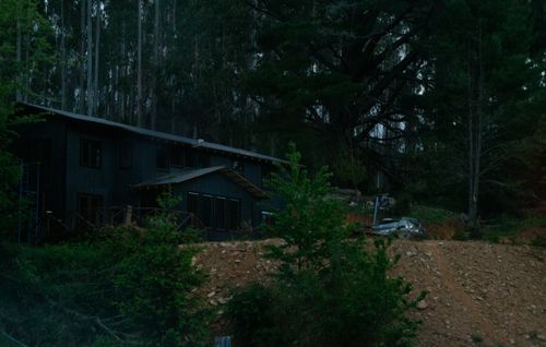 Free stock photo of black, darkness, forest Stock Photo