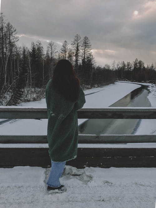 Fotos de stock gratuitas de congelado, hielo, invierno