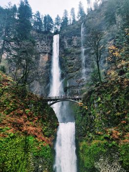 Breathtaking view of Multnomah Falls, Oregon with lush greenery and a picturesque bridge.