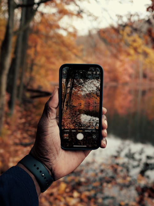 Man Taking a Picture of an Autumnal Landscape 