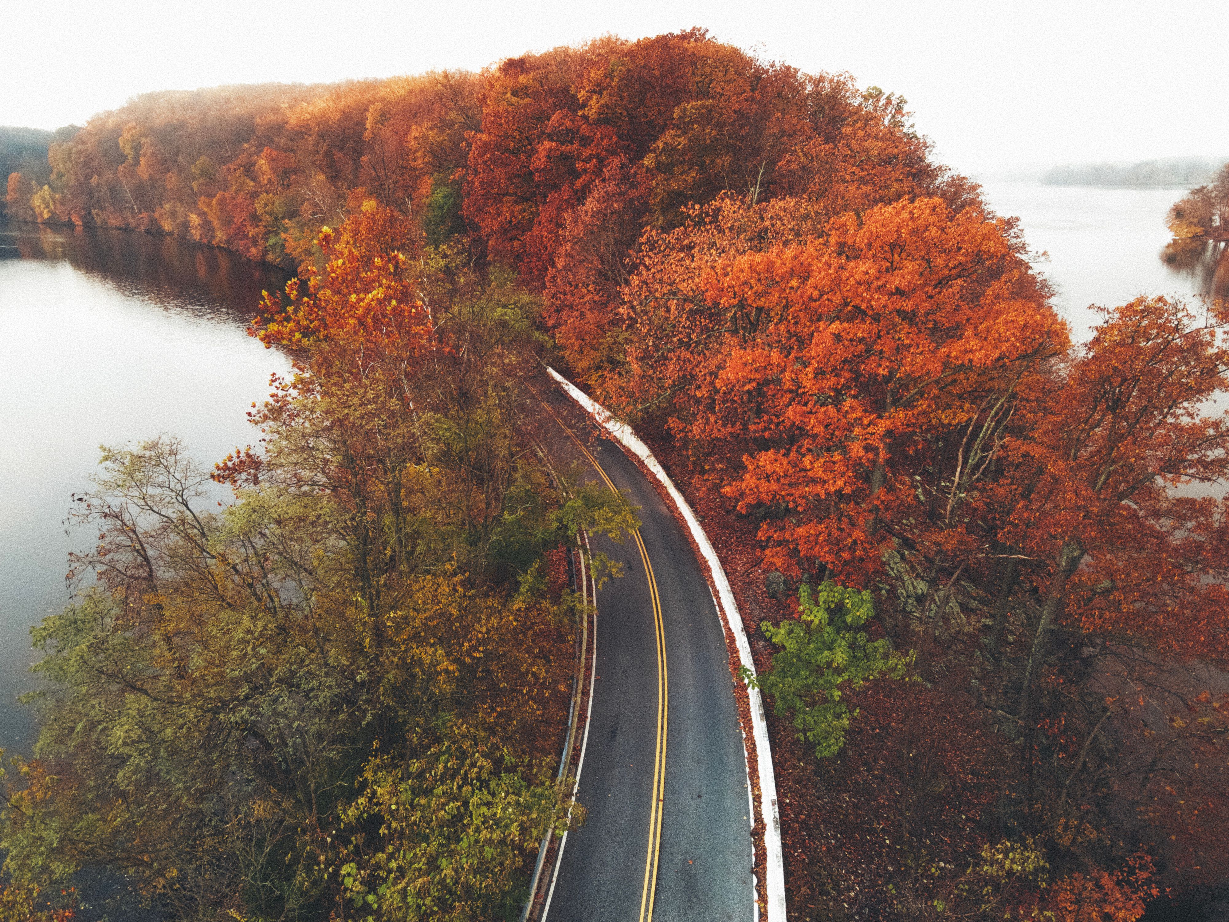 A winding road surrounded by autumn foliage and a calm lake