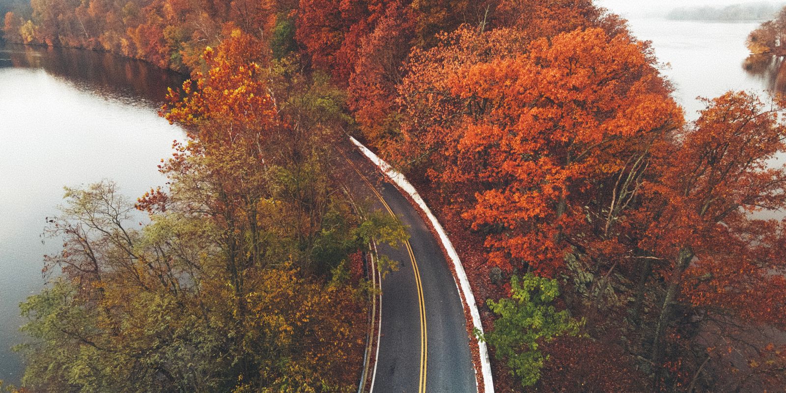 A winding road surrounded by autumn foliage and a calm lake