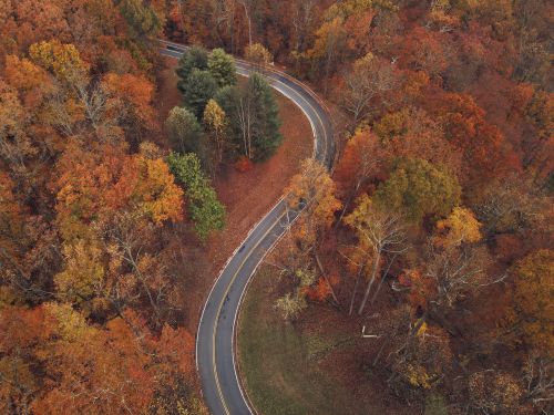 Free A captivating aerial shot showcasing a winding road through a vibrant autumn forest with colorful foliage. Stock Photo