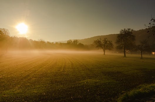 Ethereal sunrise over a misty countryside landscape in Vorarlberg, Austria, capturing serene beauty.