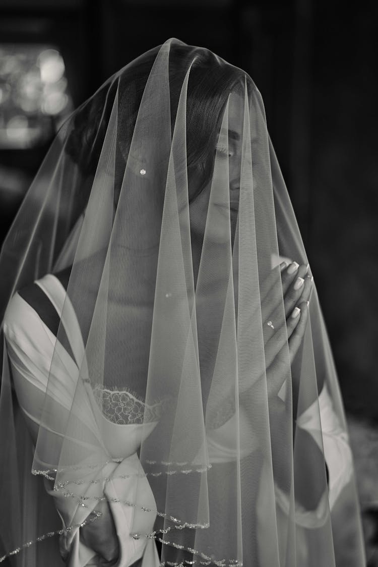 Beautiful Bride In Veil 