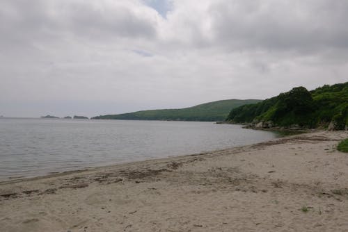 Scenery of Beach and Island Under Cloudy Sky