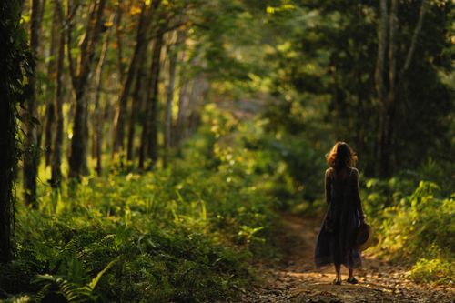 Free A woman in a dress walks through a sunlit forest path, capturing tranquility and nature's beauty. Stock Photo