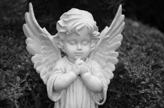 Elegant black and white photo of an angel statue with wings folded, capturing serene prayerful expression.