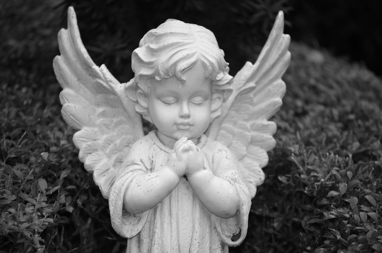 elegant black and white photo of an angel statue with wings folded cap
