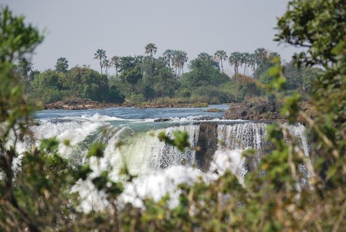 Gratis lagerfoto af afrika, mosi-oa-tunya, palmer