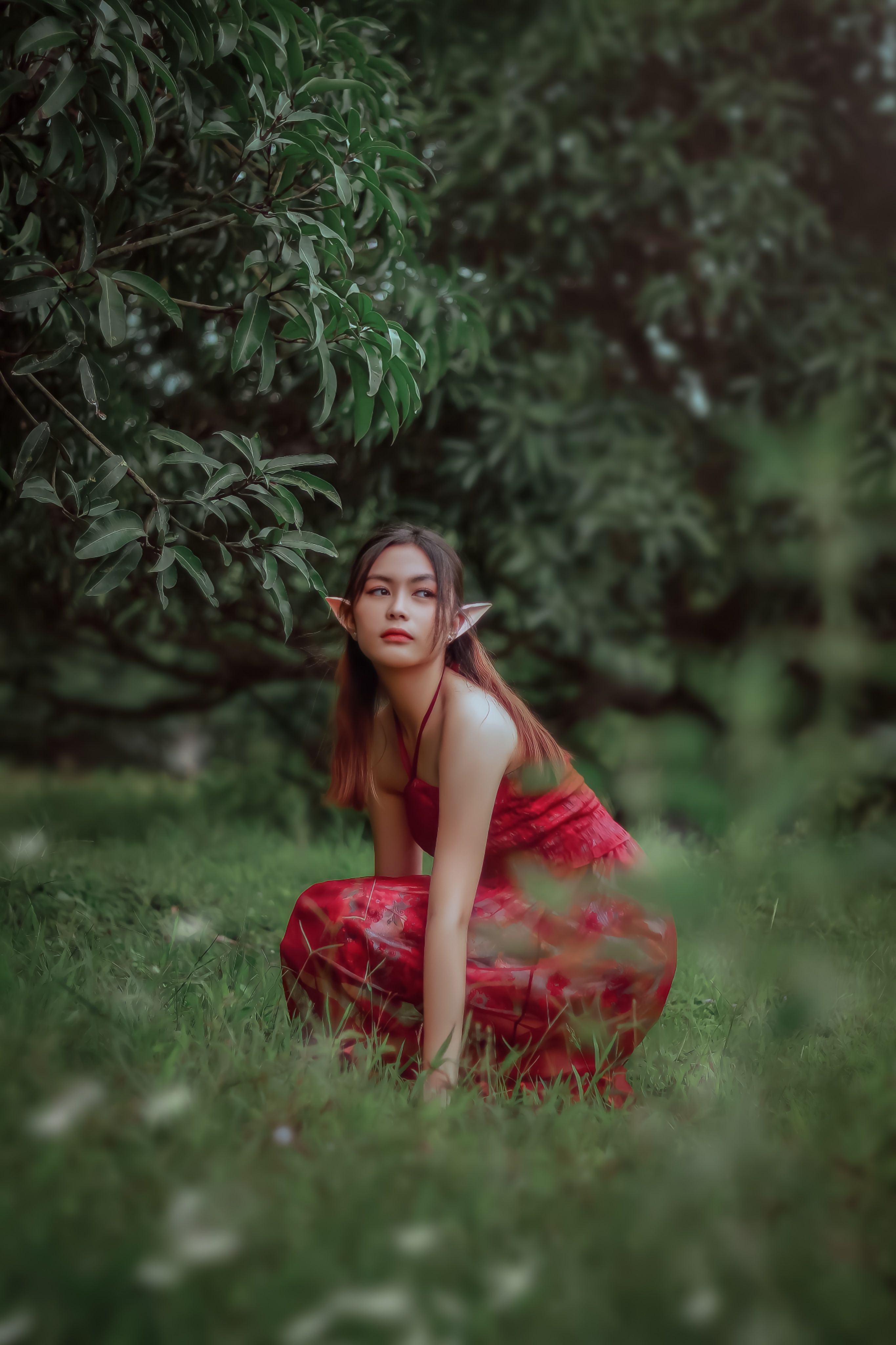 Fantasy-themed portrait of a woman in a red dress and elf ears in a lush park setting.