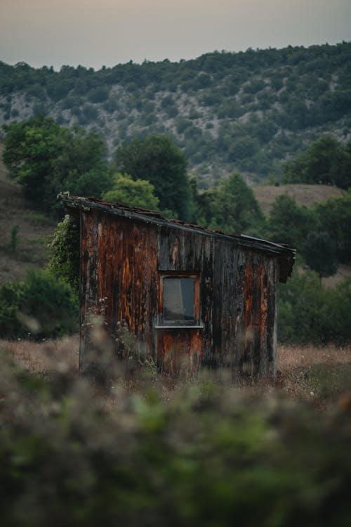 Foto profissional grátis de abandonado, barraca, barracão