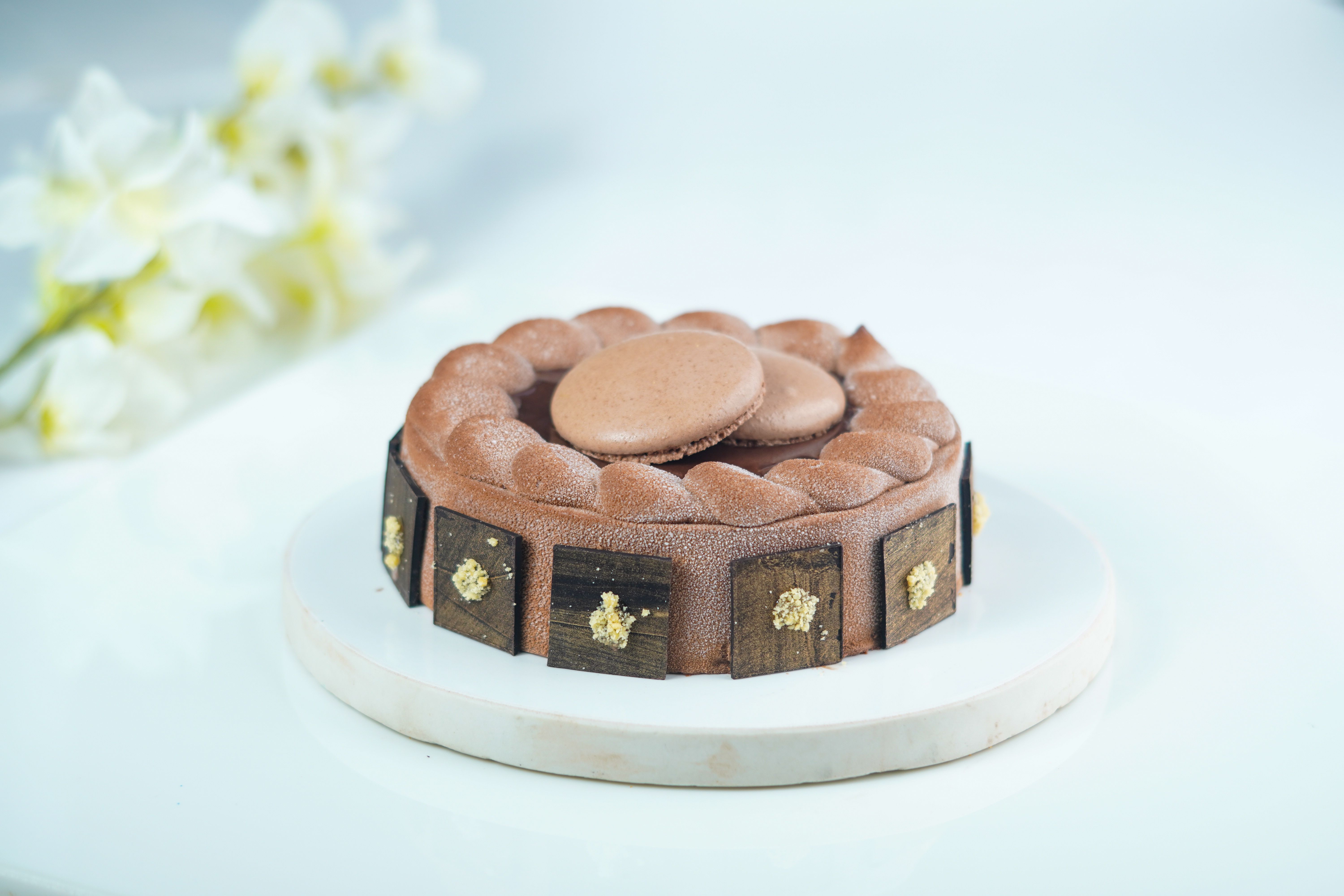 Cinnamon Tiramisu with a Chocolate Ganache