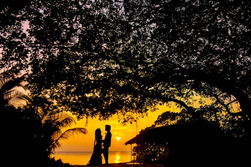 Silhouette Photo Of Man And Woman Trong Sunset